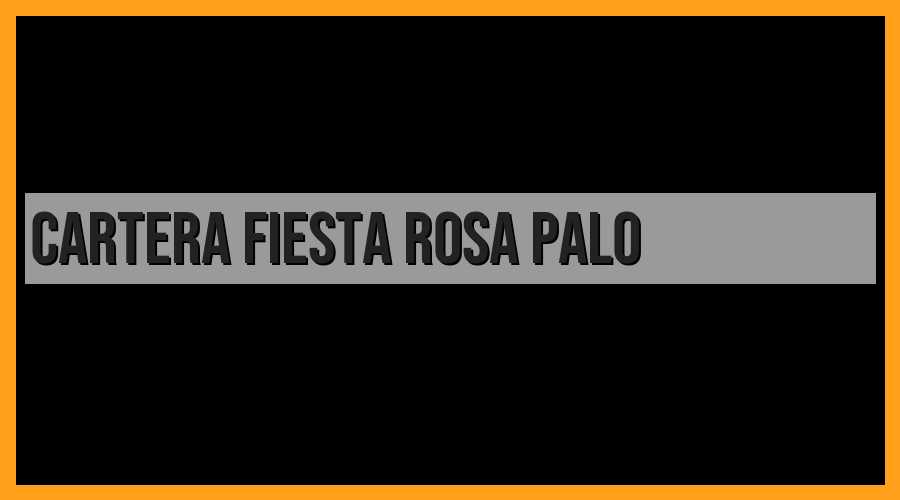 Cartera, fiesta rosa palo