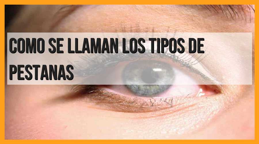 Tipos de pestañas: Nombres y características
