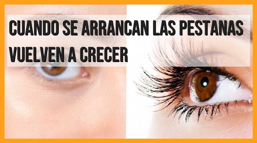 ¿Las pestañas vuelven a crecer después de arrancarlas?